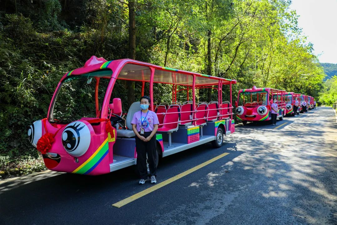 你能想象驾驶景区观光车有多“简单”？！