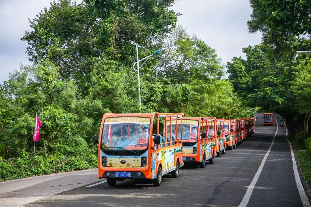 你能想象驾驶景区观光车有多“简单”？！