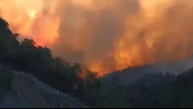 山火SOS，“十八般武艺”的TA们请求出战