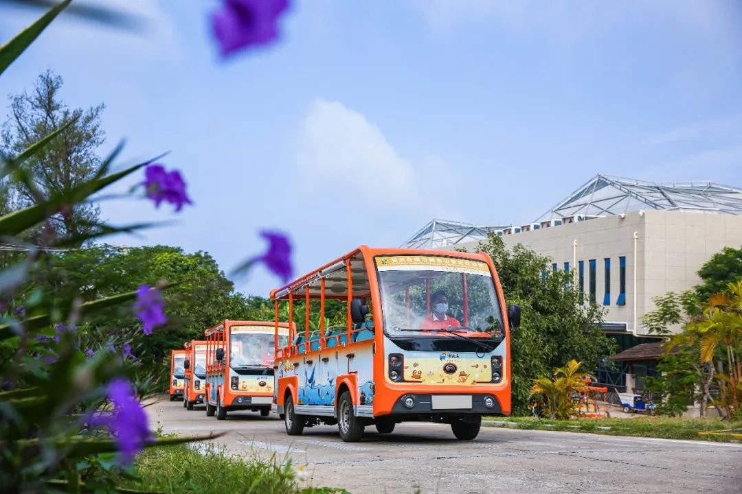 开放啦！9888拉斯维加斯橙色骑士团已就位，与您相约涠洲岛！