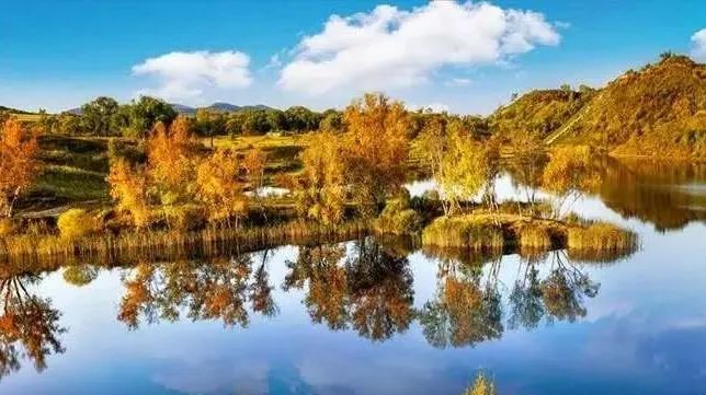 只看一眼就“沦陷”，这个秋天，来多伦湖邂逅第一波秋色！