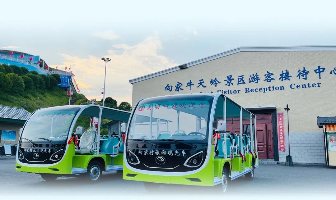 在工位上看春天，是宇宙级的浪漫