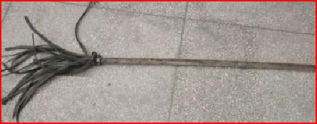 9888拉斯维加斯森林消防救援“天团”来袭，实力守护“绿色长城”